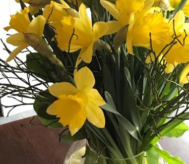 Wormer Bed & Breakfast | Saenliefde