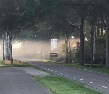 Diffelen House | Saevis tranquillus in undis in de IJsvogel
