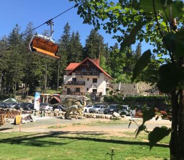 Bierutowice Bed & Breakfast | Safir przy samym WYCIĄGU