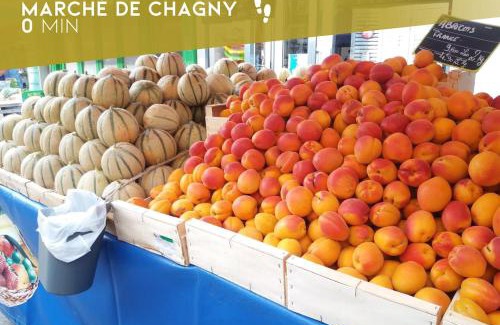 Chagny Apartment | Saga - Cinema Room - By Primo