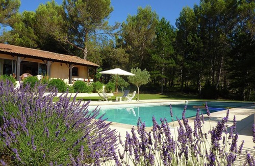 Saint-Siffret Villa | Saint-Siffret: Forest & Pool