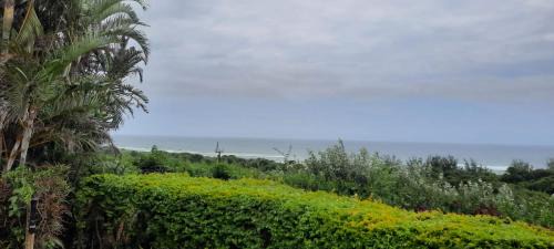 Winklespruit Apartment | Salt & Sea Toti