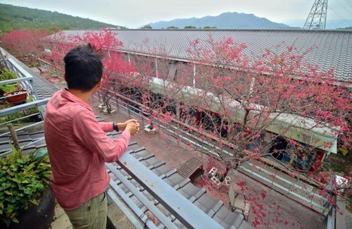 Sanyi House | Sanyi Wei Wei Feng B&B