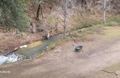 Shasta House | Sawpit Farm Creekside Cabin Minutes from Whiskeytown Lake