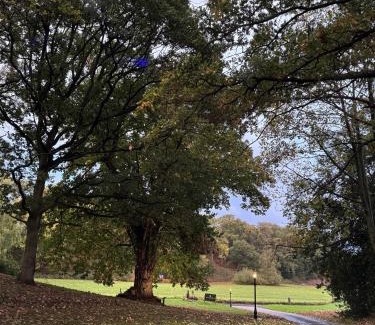 North Walsham Bed & Breakfast | Scarborough Hill Country Inn