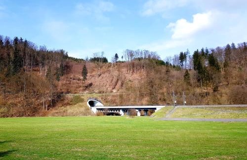 Hostejn House | Schupplerova vila