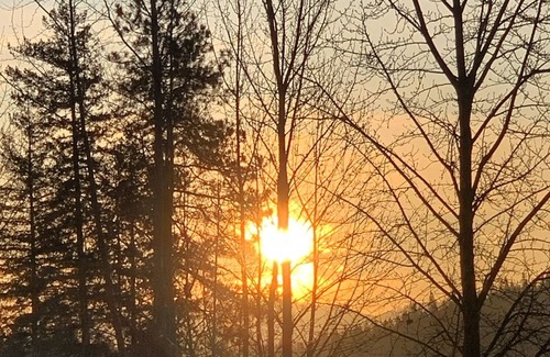 Dover Bay House | SCHWEITZER, 28 minutes to the parking lot. Moose Lodge Two!