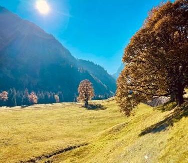 Glarus Sued Apartment | Schweizerhaus Glarus - Historisch & Stilvoll mit Garten