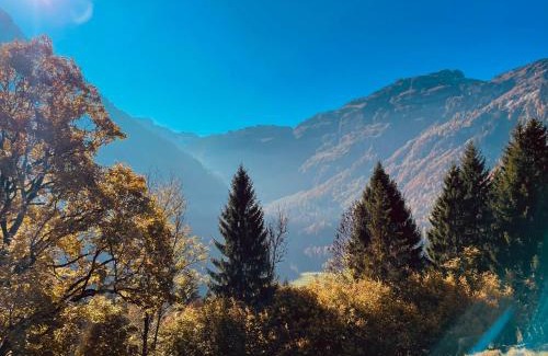 Glarus Sued Apartment | Schweizerhaus Glarus - Historisch & Stilvoll mit Garten