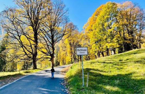Glarus Sued Apartment | Schweizerhaus Glarus - Historisch & Stilvoll mit Garten