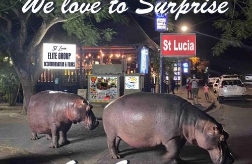 St. Lucia Apartment | Sea's the Day