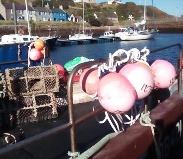 Helmsdale Bed & Breakfast | Sea Song, Selkie House