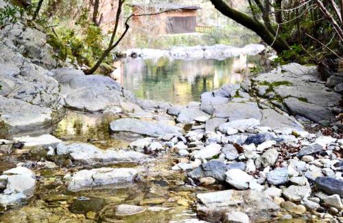 Avegno House | Sea Trail