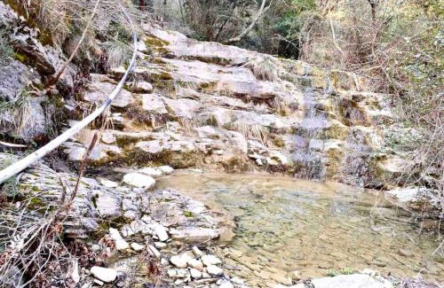 Avegno House | Sea Trail