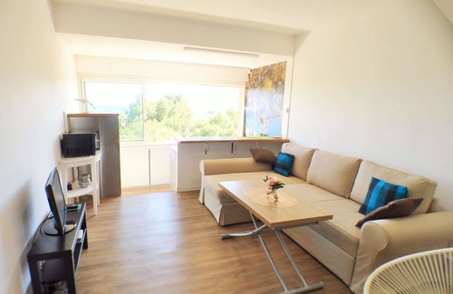 Les Sablettes Apartment | Sea view, air conditioning, Wifi, beach in front