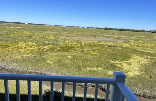 Seabrook Apartment | Seabrook Studio I - Walk to the beach!