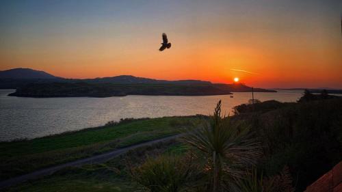 Ardnatrush House | Seafront house with own private pier in Gunpoint, Schull, West Cork