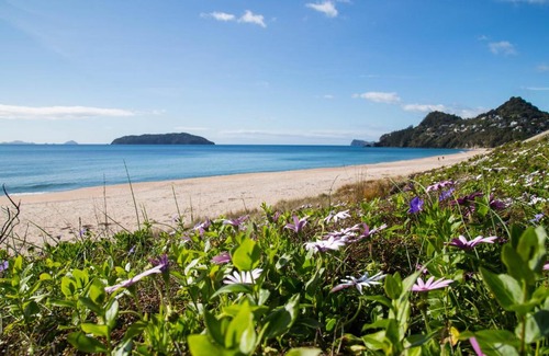 Tairua Bed & Breakfast | Seagrass Studio