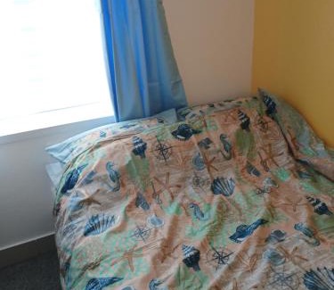 Dawlish Warren House | Seashells-L10