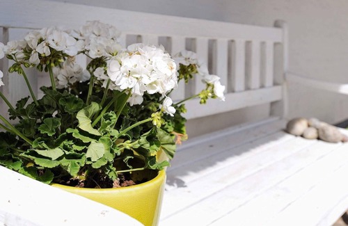 Vedelshave House | Seaside Charm in Baring - By Traum Ferienwohnungen
