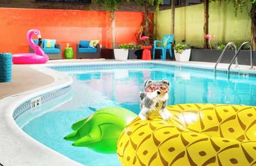 University District Hotel | Seattle Retreat for Perfect for Family Stay | Seasonal Pool Access