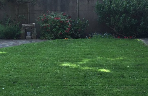 Hove Apartment | Seaview Brighton Apartment. 100m from beach , cafa’s ,bars, restaurants