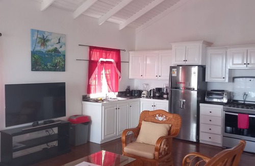 Rodney Bay Condo | Seaview Condos