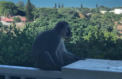 La Lucia Bed & Breakfast | Seaview Manor Exquisite Bed & Breakfast