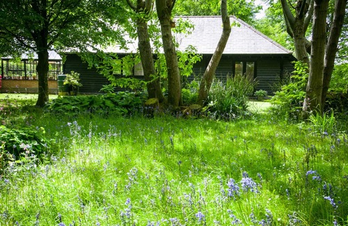 Bottlesford Cottage | Secluded rural cottage with private garden, 15 mins to pub and cafe
