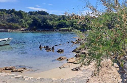 Zman House | Secluded fisherman's cottage Krknata, Dugi otok - 397