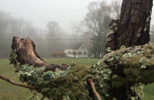 Oliverea House | Secluded Getaway on 112 Forested Acres