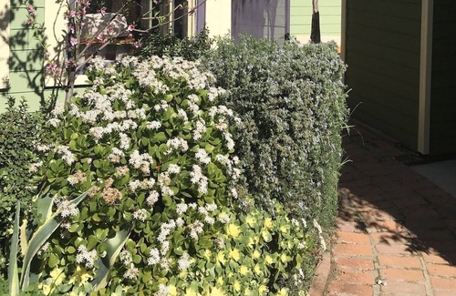 Burlingame Cottage | Secluded Guest Cottage in Historical South Park **New Remodel