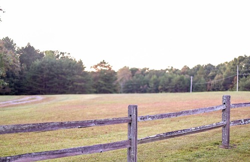 Mentone Cottage | Secluded “HideOut” on 8 acres