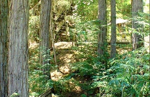 Summerhome Park House | Secluded Hillside Hideaway Offers Elegance, Comfort, Amenities