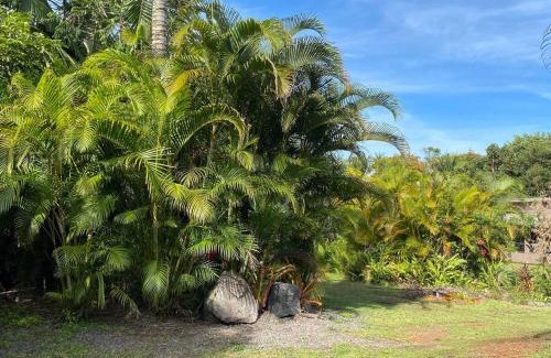 Leilani Estates House | Secluded house, Opening special!
