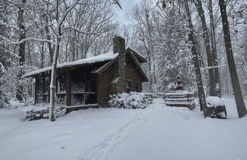 South Haven Cabin | Secluded Log Cabin with trail to North Point County Park to the beach.