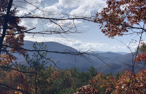 Ferguson Cabin | Secluded Misty Mountain Getaway: Serene Cabin amidst Blue Ridge Mountains