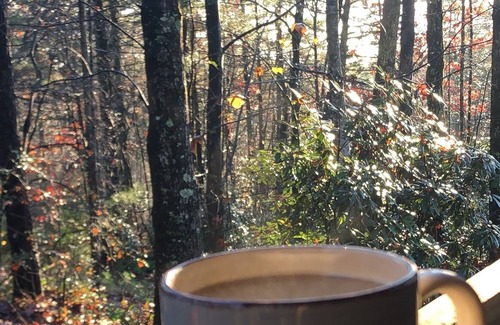 Ferguson Cabin | Secluded Misty Mountain Getaway: Serene Cabin amidst Blue Ridge Mountains