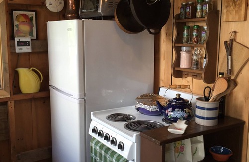 Blue Hill Cabin | Secluded Saltwater Cabin "Piney Home"