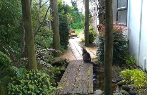 Waitara House | Secret Cottage