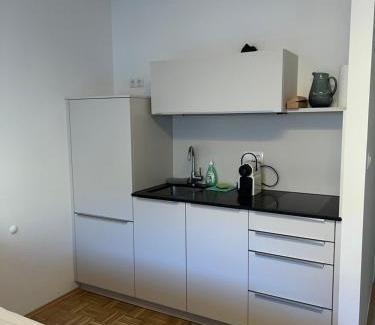 Jakomini Apartment | Secret Room Winkelgasse-Diagon Alley
