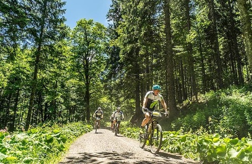 Titisee-Neustadt Apartment | Seestraße Appartement