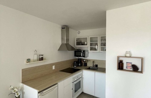 Le Penon Apartment | Seignosse Ocean, beautiful renovated apartment OCEAN VIEW 150m from the beach, ideal family