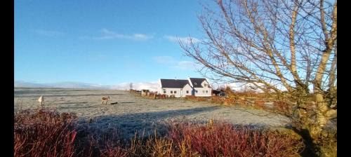Keadue Apartment | Self catering upstairs apartment at Tradcottage