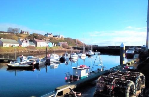 Helmsdale Bed & Breakfast | Selkie House Song of the Sea