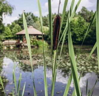 gmina Czarna Resort | Serce Lasu - Hotel z Duszą i Energią Kamieni