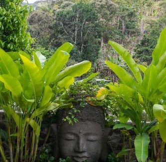 Newcastle Hotel | Serendipity Holistic Resort Spa