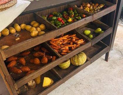 Newcastle Hotel | Serendipity Holistic Resort Spa