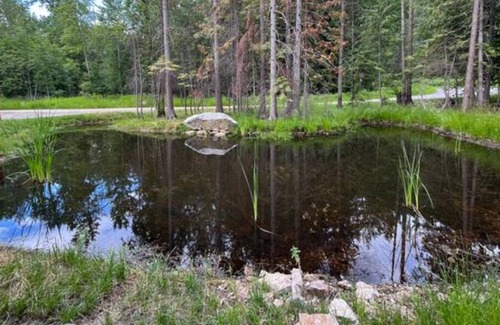 Sandpoint House | Serene Airstream 1/1 with Fire Pit