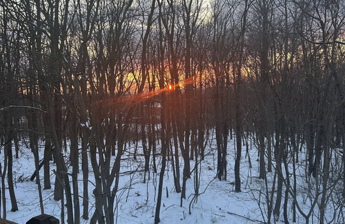 Ripley Apartment | Serene one bedroom tree top lodge along the wine trail.